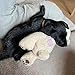Pet Prime Kuscheltier für Hunde, Welpenspielzeug Hunde Herzschlag Plüschtier Welpe Verhaltenshilfe Plüschtier - Plüschbär