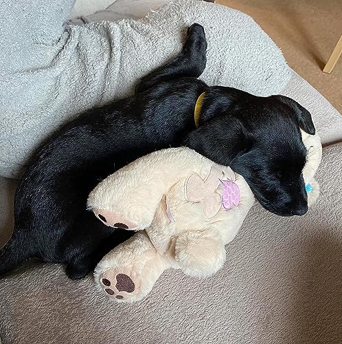 Pet Prime Kuscheltier für Hunde, Welpenspielzeug Hunde Herzschlag Plüschtier Welpe Verhaltenshilfe Plüschtier - Plüschbär