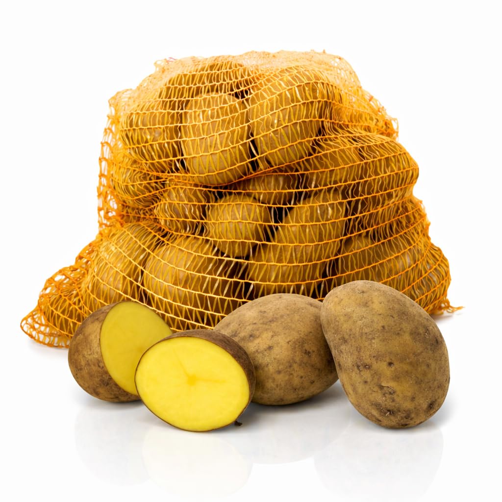 FRUCHTVERSAND24® Speisekartoffeln Afra 12,5kg | feiner mehliger Geschmack | gelbfleischig | für Back- Ofenkartoffeln, Klöße & Knödel, Pommes, Püree, Salzkartoffeln, Suppe | sehr lagerfähig