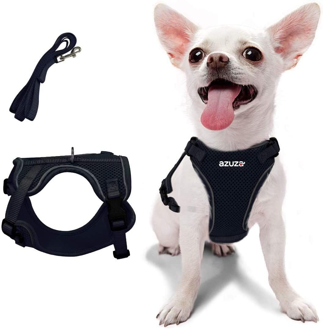 azuza Puppy Harness and Leash Set, Reflective Air Mesh Dog Vest Harness, All Weather Comfort Dog Harness for Small Dogs, Chest Girth:…