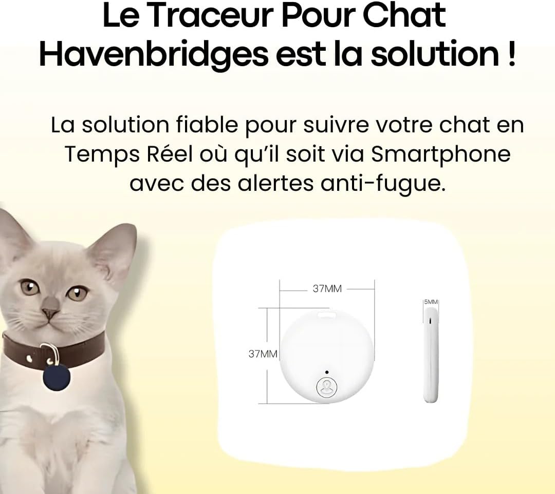 A cat with the Havenridges GPS tracker on its collar, alongside a diagram showing the tracker's dimensions (37mm x 37mm x 5mm).