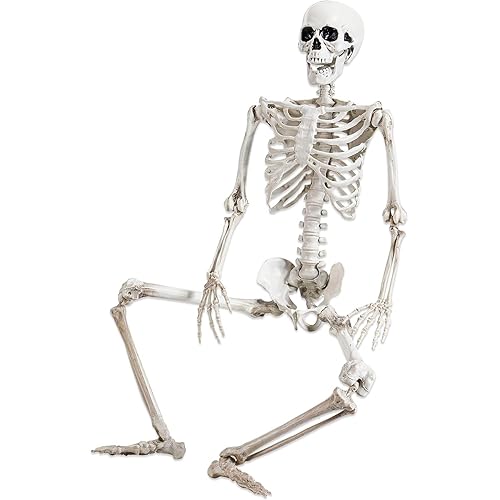 36" Halloween Skeleton Decorations,Human Bones for Halloween Party with Movable Joints,for Haunted Houses, Front Lawn, Graveyard Props