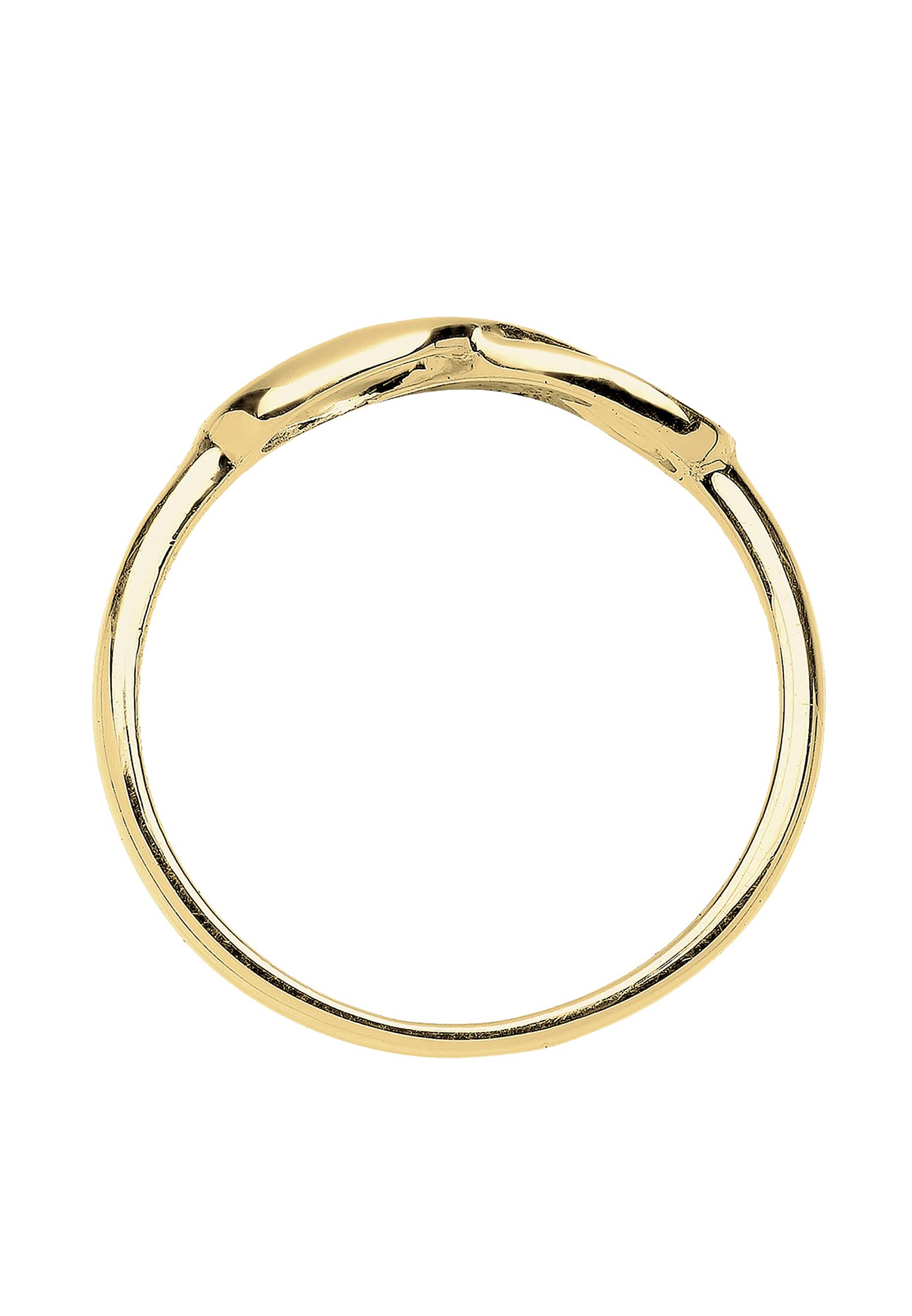 Elli PREMIUM Damen Motivring Unendlichkeit Liebe Freundschaft Liebesbeweis 375er gelbgold