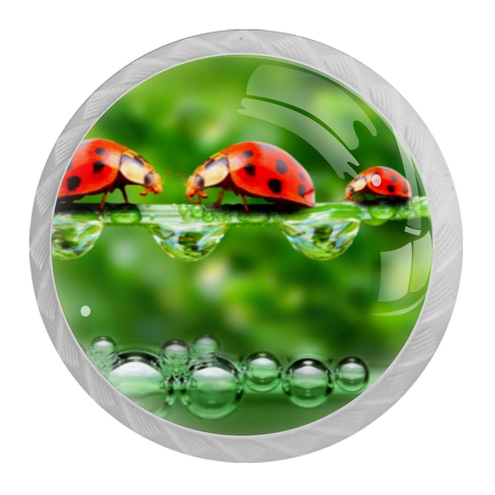 Tqmspg Multi08 4 Pieces Drawer Pulls Ladybug And Ladybird Door Knobs Dresser Handles For Kitchen Wardrobe Cupboard Hardware Furniture