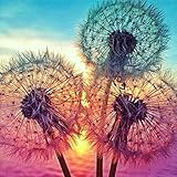 MXJSUA DIY 5D Diamond Painting by Number Kits Full Drill Rhinestone Embroidery Cross Stitch Pictures Arts Craft for Home Wall Decor,Dandelions 12x12in