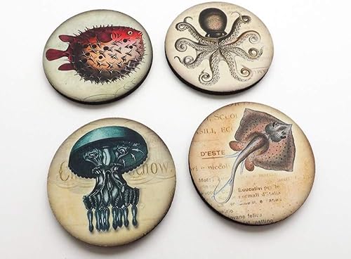 Miniatura 4 de Ocean Creatures set of 4 or 6 Coasters 3.5 inch nautical sea puffer fish octopus manta ray jellyfish