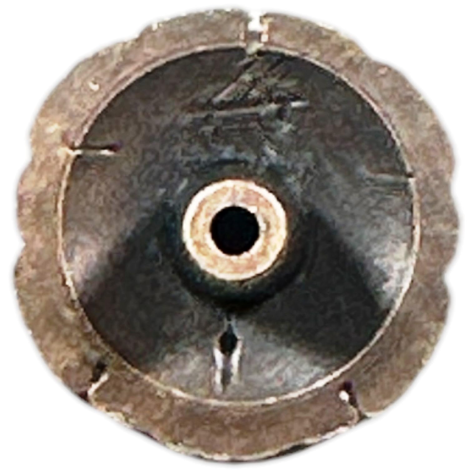 1 Sand Dollar Knob in Antique Brass