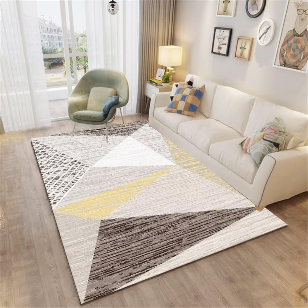 Tapis sol gris résistant aux acariens 200x250cm pour salon moderne