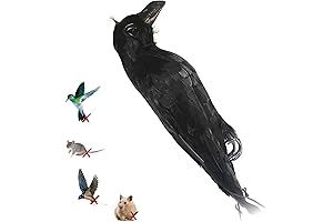 Realistic Dead Crow Statue