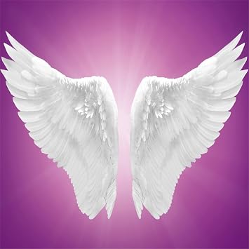 AOFOTO 5x5ft Angel Wings Photography Backdrop Fantasy Spiritual White Feather Wings Dreamy Purple Background Birthday Baby Shower Party Decorations Girl Adult Artistic Portrait Photo Shoot Props
