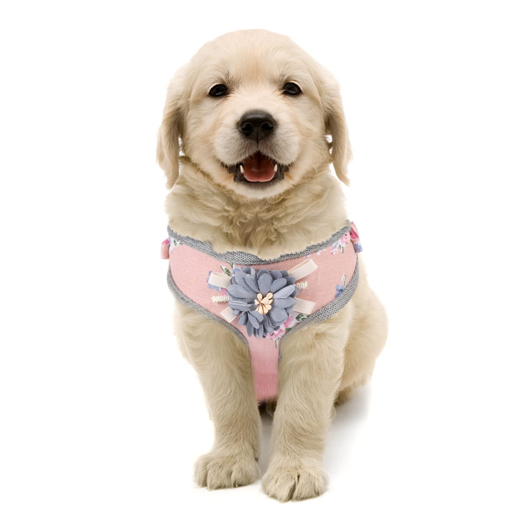 POPETPOP 3sets Pettorina Per Regolabile Guinzaglio e Traspirante Per e Allenamenti Rosa s