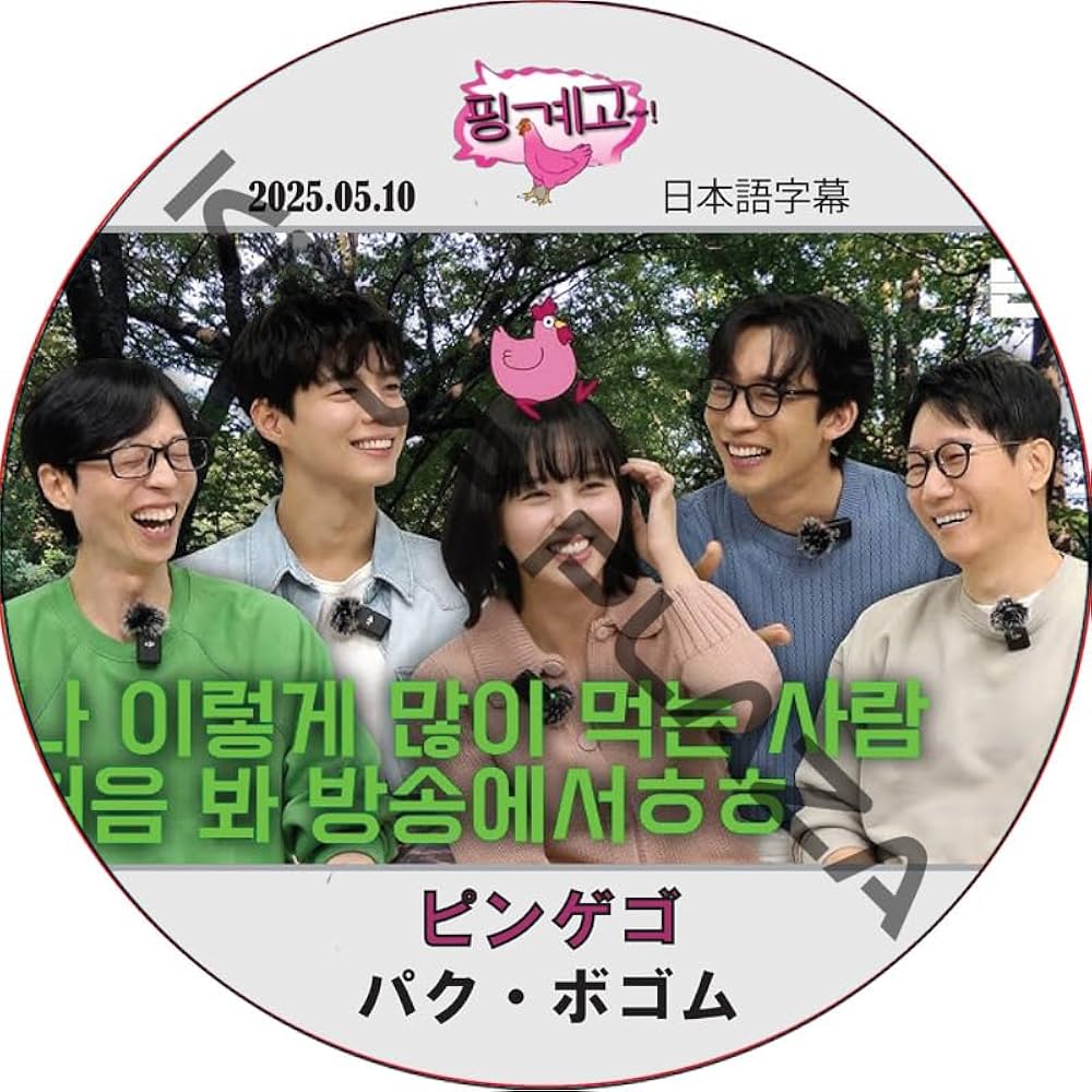 Amazon.co.jp: パク・ボゴム DVD ピンゲゴ (2025.05.10) 日本語字幕