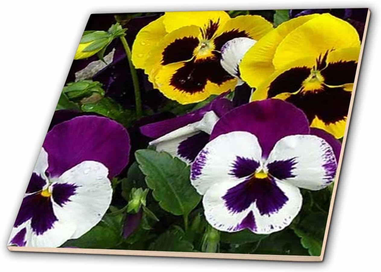 3dRose Pansie 12 Inch Ceramic Tile