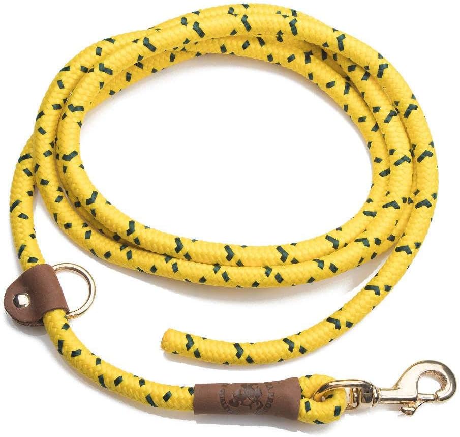 Mendota Pet EZ Trainer Leash - Dog Leash - Made in The USA - Orange, 1/2 in x 8 ft