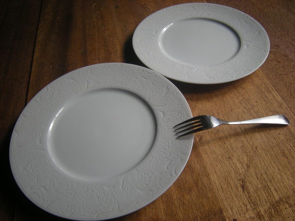 山美濃焼・エンボス 象嵌 リムプレート 蔦唐草 白磁器 パスタ・サラダ 9寸（28㎝ｘ2㎝）1枚から お勧め