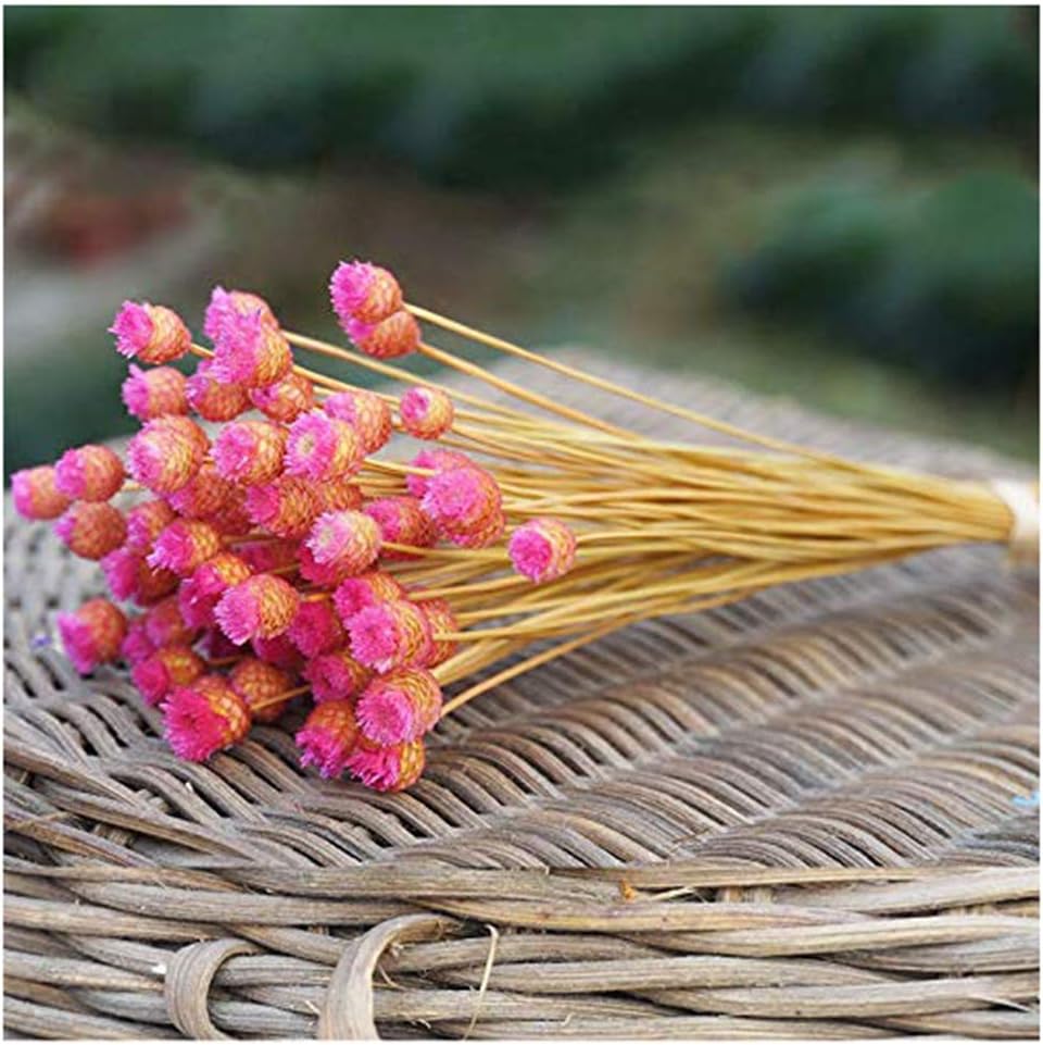 Natural Dry Flowers Happy Flower Bundles-Flowers Bouquet for Wedding DIY Home Party 1 Bundle 50pcs Pack (Rose Red)