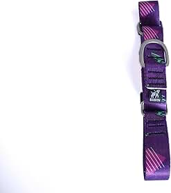 Coleira Martingale Barkon Dog Aço Inoxidável 25mm (Roxo PWR, M)
