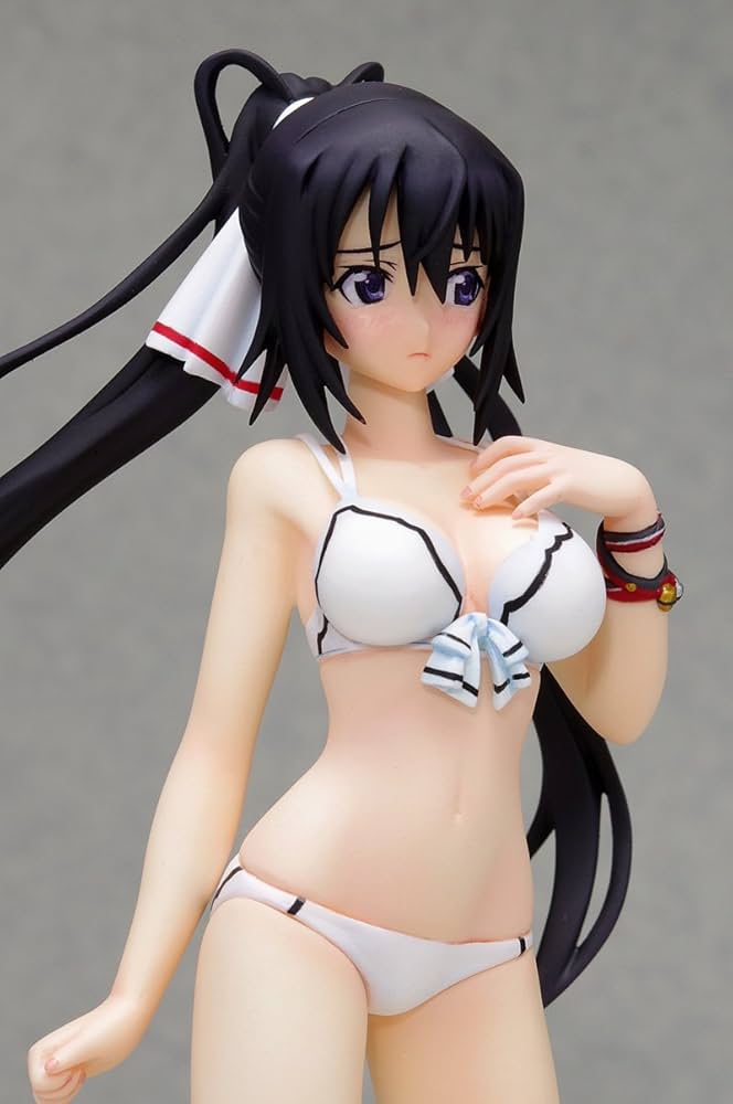 Amazon.co.jp: IS 篠ノ之 箒 (1/10スケール PVC塗装済み完成品