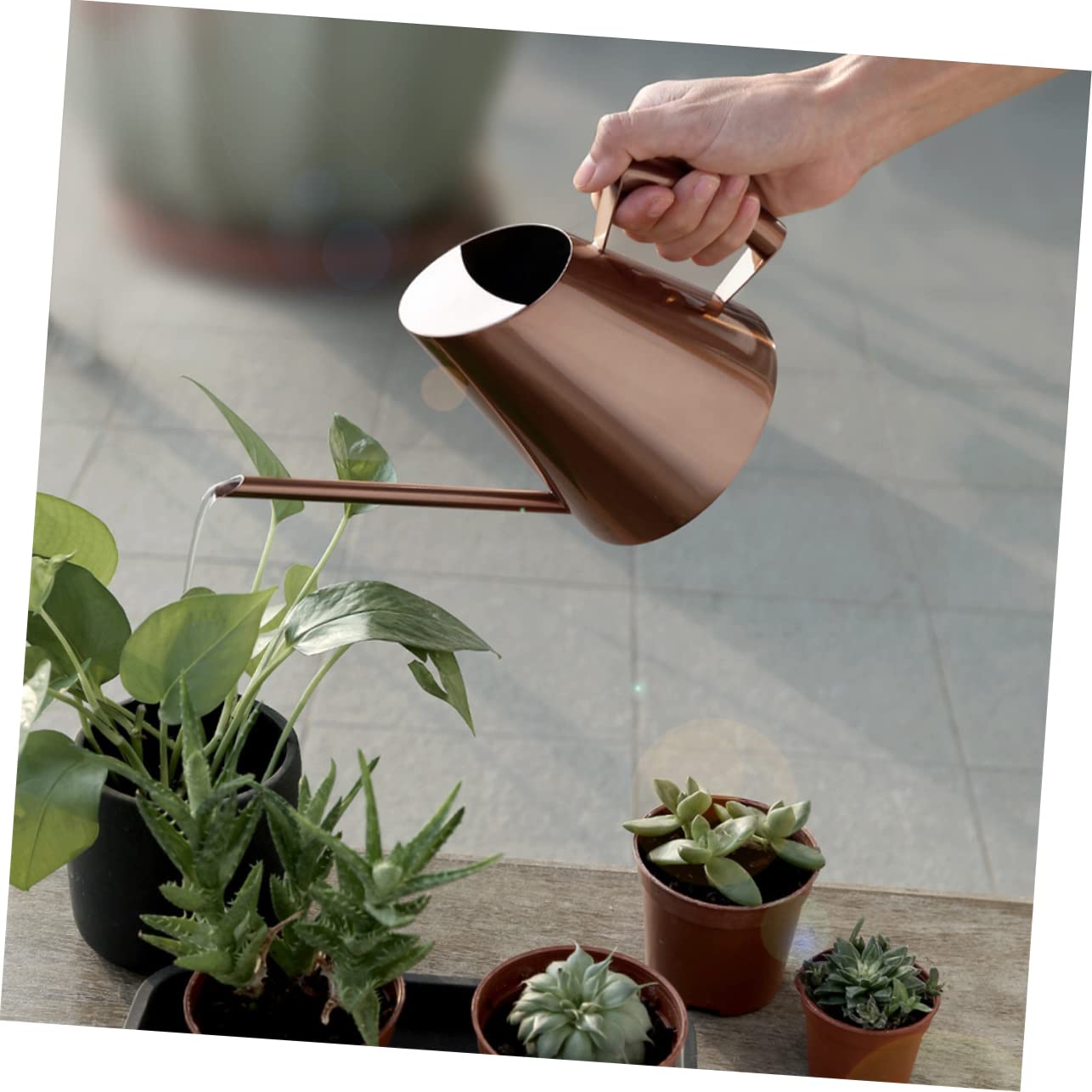 Annnaffiatoio in Acciaio Inox 1500ml Beccuccio