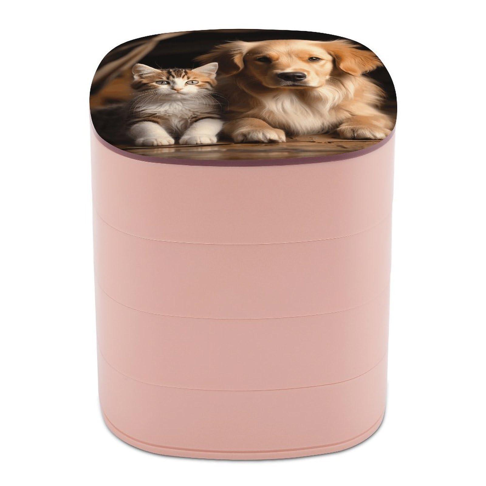 Idée cadeau femme boîte à bijoux motif chat et chien pour les fêtes
