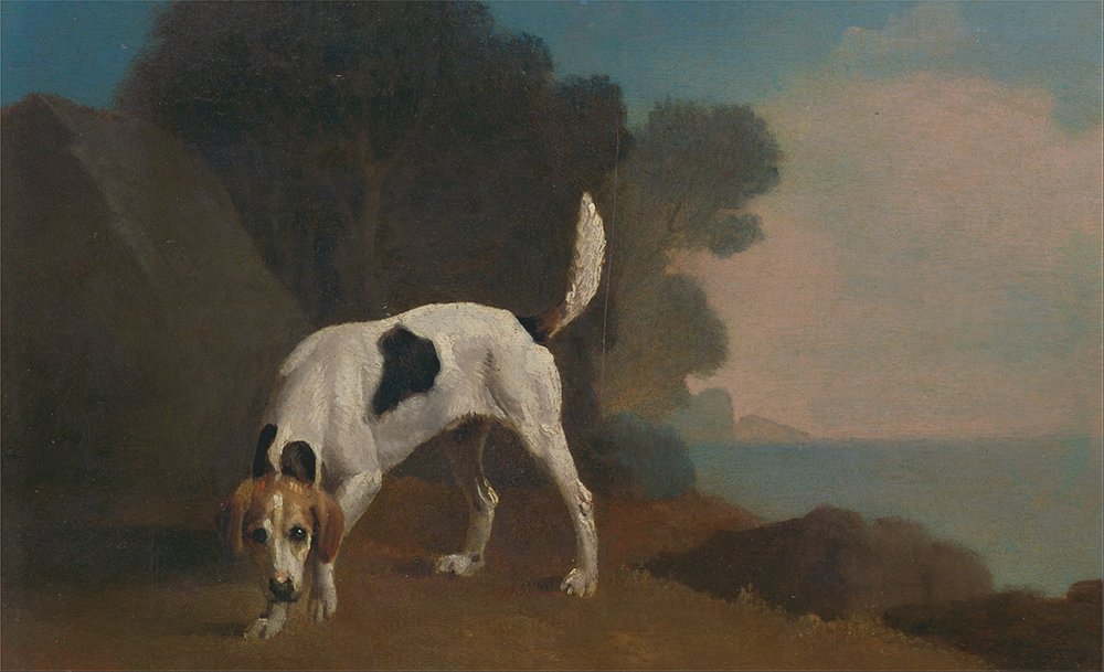 Foxhound George Stubbs grand format mat anti-reflet pour cadre de salon