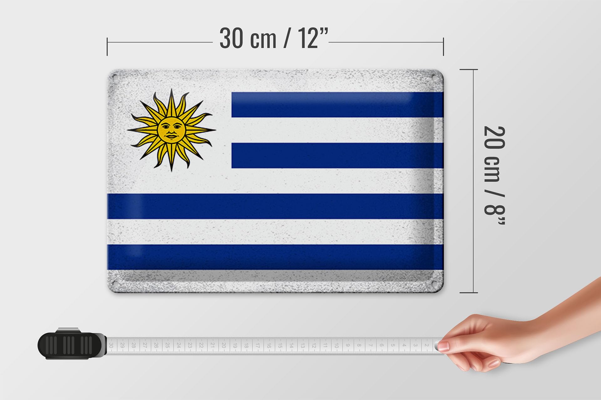 Tin Sign 30 x 20 cm Flag of Uruguay Vintage Decorative Sign Tin