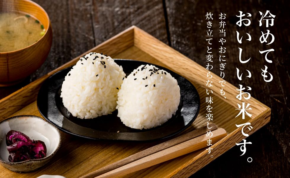 Amazon.co.jp: 令和7年産 但馬コシヒカリ 5kg 特A ランク 兵庫県但馬