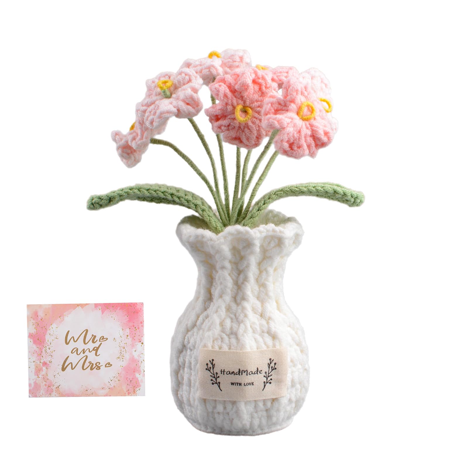 Plante en pot au crochet décoration d'intérieur bureau et salon