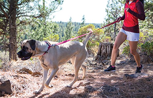 RUFFWEAR - Collare per Animali Domestici