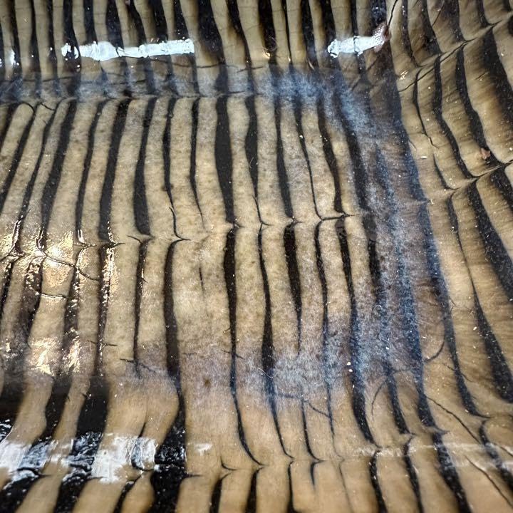 前野直史 スリップウェア 角鉢 大