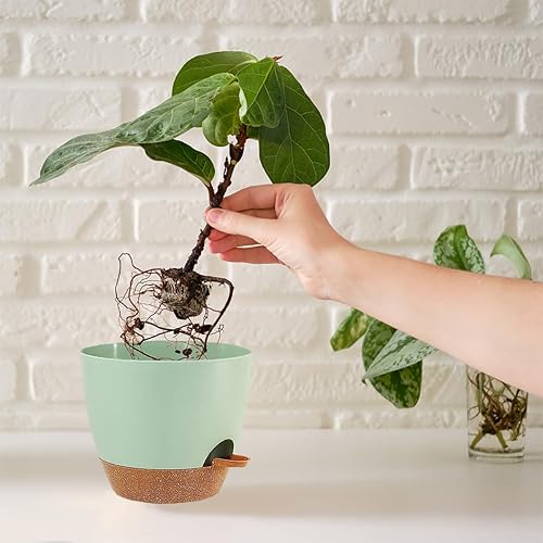 Miniatura 4 de SE SUN-E Macetas con agujeros de drenaje y platillos, maceta para todas las plantas de la casa, macetas de plástico verde con orificio de drenaje,