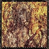 metal church the dark critica  Universal death church