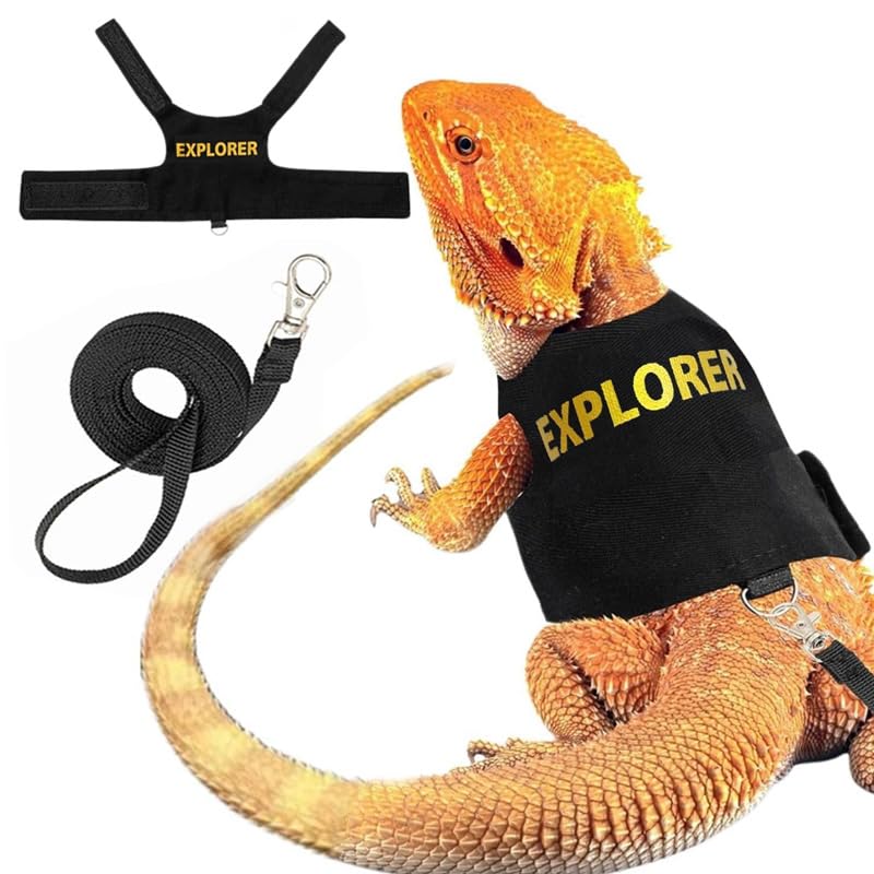 CQJ Bearded Dragon Leash and Harness Set, Adjustable Lizard Reptile Leash for Small Pets - Outdoor Safety Walking (Explorer Character)