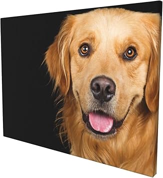 Amazon ゴールデンレトリバーの肖像画 壁の絵 アートパネル 壁アート モダン フレーム 装飾画 壁飾り 家 リビングルーム ベッドルーム 部屋 おしゃれ飾り ウォールステッカー オンライン通販