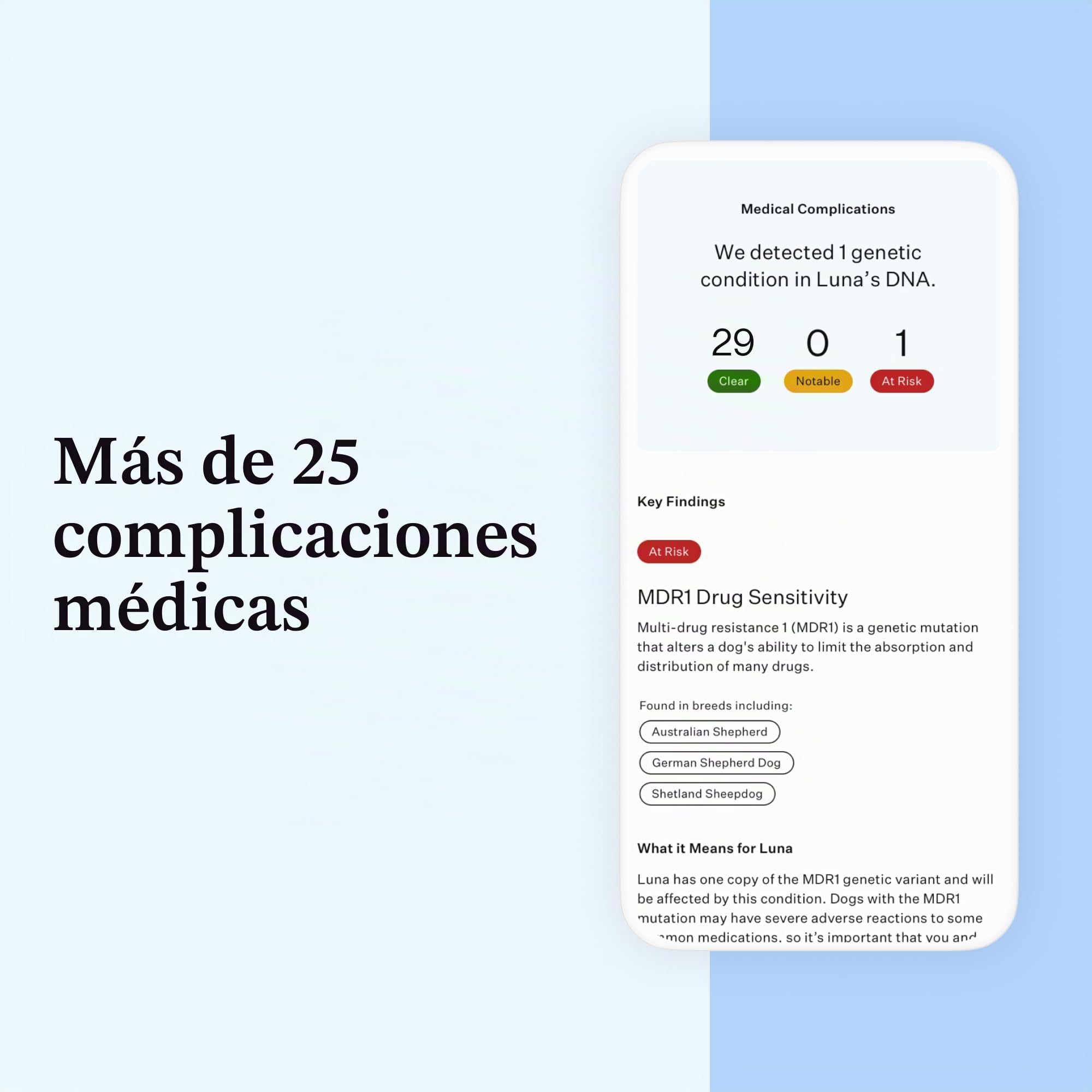 Wisdom Panel Esencial – Prueba de ADN para Perros ancestrales, Razas, propiedades y Pruebas de Salud