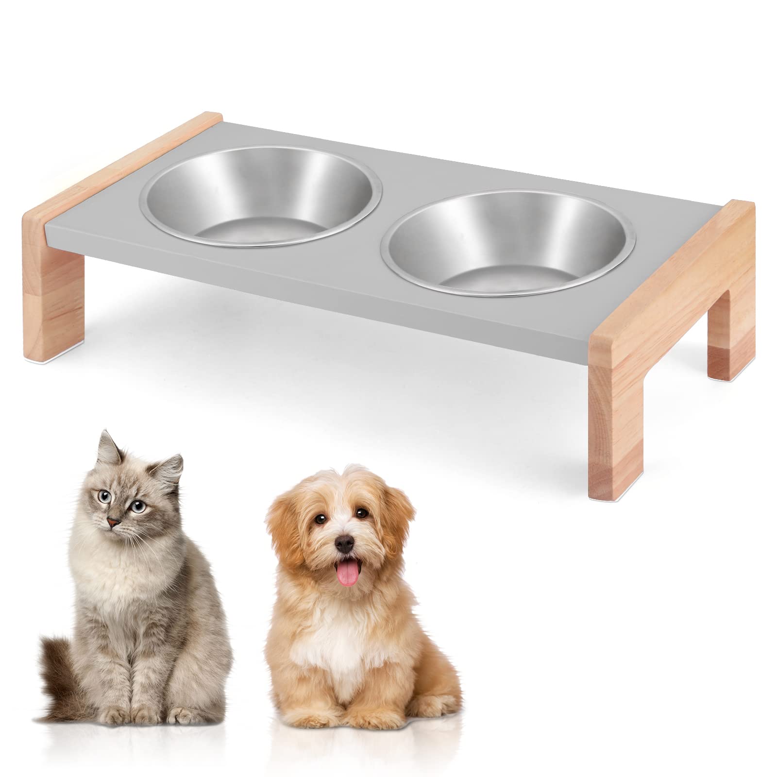 Can A Dog Digest Wood