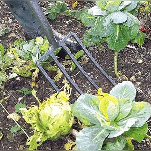 AAMEN 4 Tines Garden Fork Heavy Duty Carbon Steel Digging Fork Small Gardening Forks With Plastic Coated D Handle Outdoor Grey Border Fork 102 x 21 x 14 CM