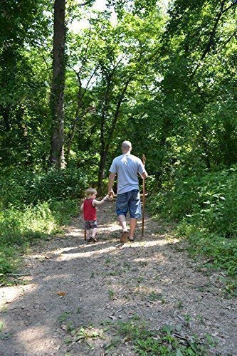 Hickory Walking Stick And Hiking Staff - Up To 60" Tall - By Creation Carvings #TOP6