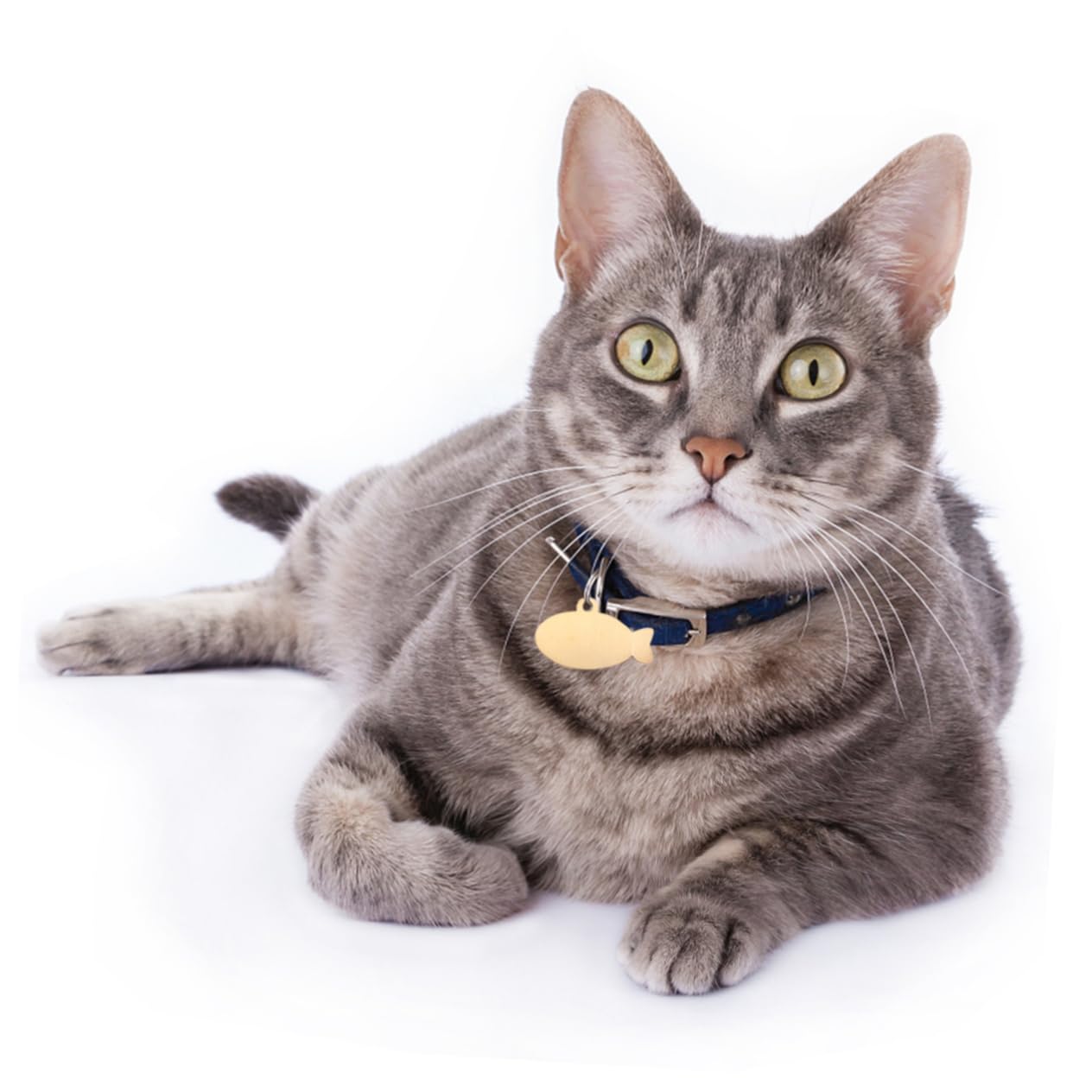 YARNOW 2pièces Médaille pour Chat Et Chien Personnalisée Breloque Forme De Poisson Accessoire pour Collier Gravure Claire Anneau De Sécurité