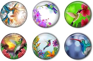 Hummingbird Refrigerator Magnet Set