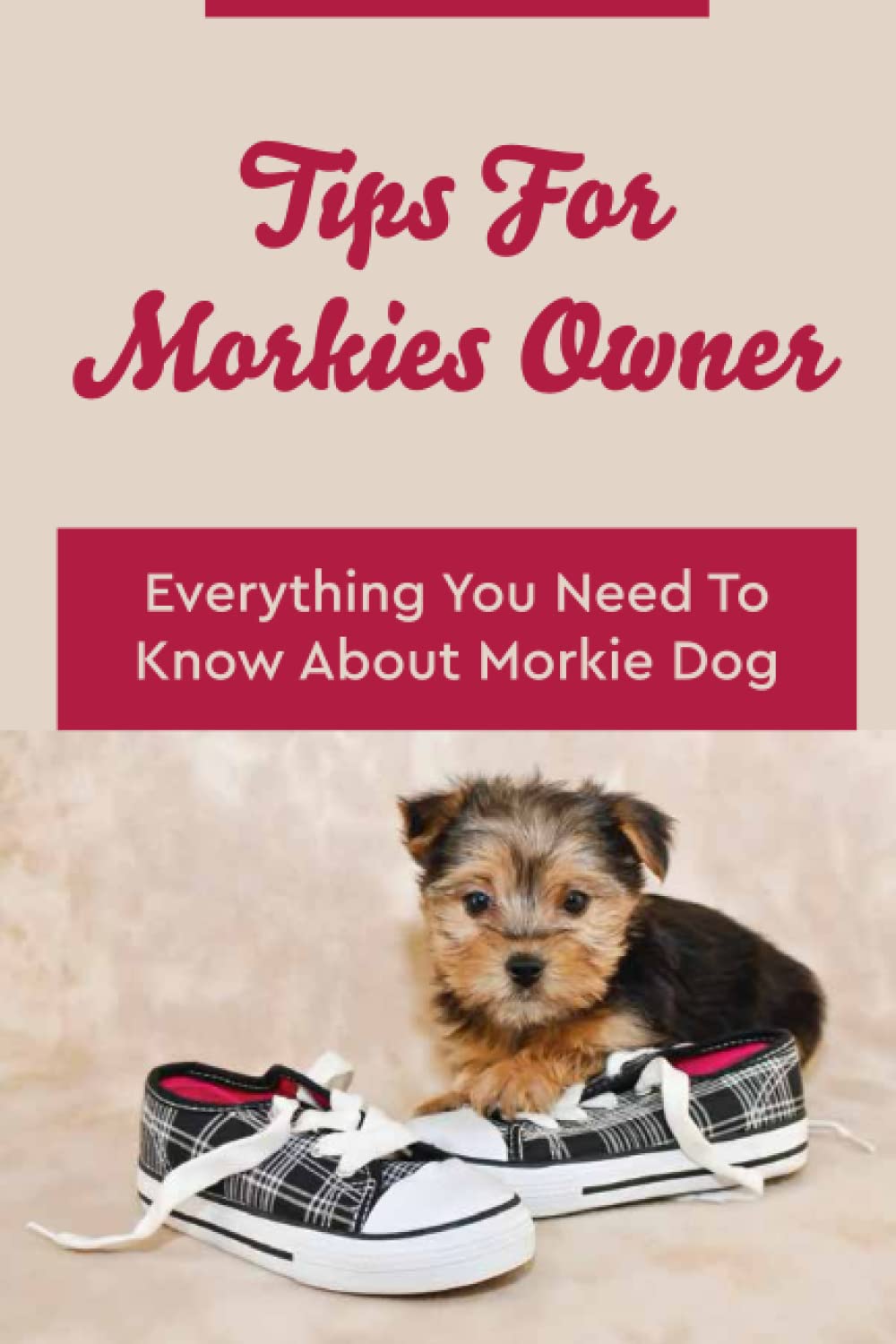 Tips For Morkies Owner: Everything You Need To Know About Morkie Dog