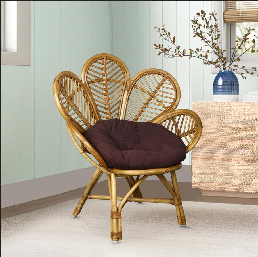 Bamboo Cane Chair for Living Room, Lawn, Restaurant, Studio, Cafe with Cushion