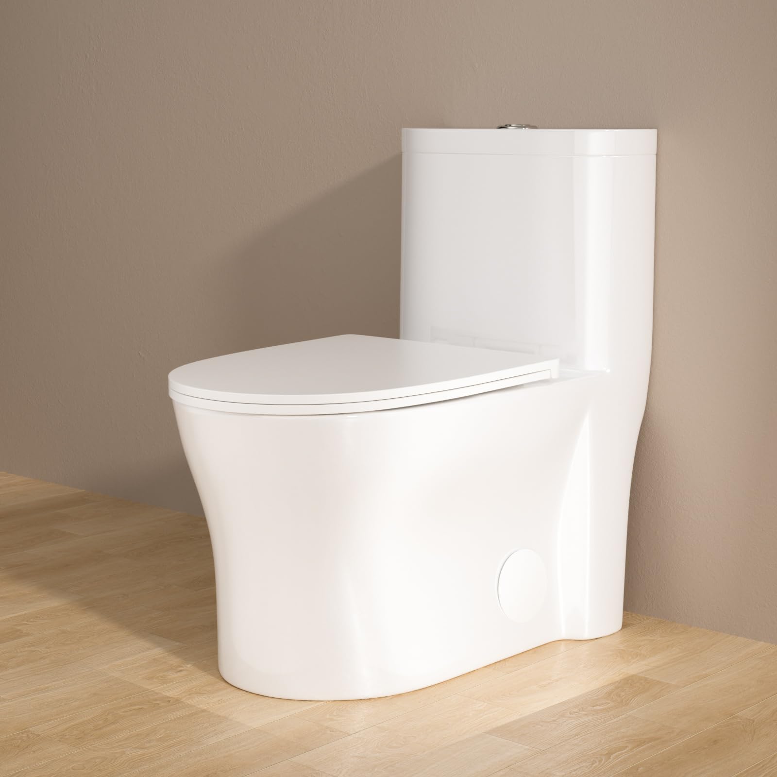 Sarlai One Piece Toilet