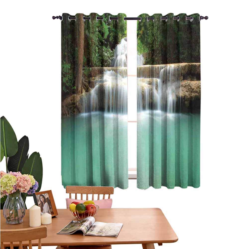 DRAGON VINES Heat Insulation Curtain Kids Room Curtains Falling Stream Waterfall Natural Pond Thailand Vacation Theme Print Insulation Noise Reduction W55 x L39