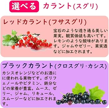 61F3a8YgROL._AC_UF350,