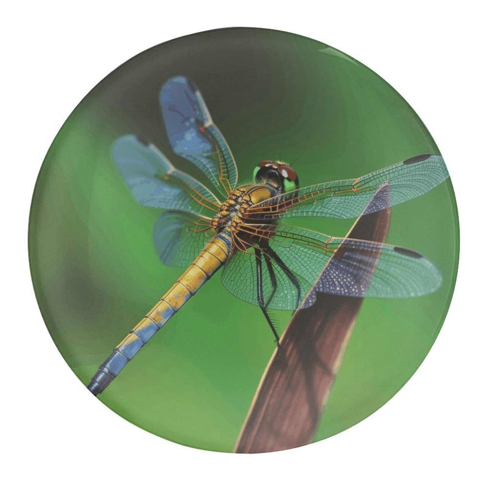 Fodpand Style Dragonfly Glass Fridge Magnets,Refrigerator Magnets Strong Magnetic, Fridge Stickers Funny For Kitchen, Office Whiteboard, Cabinet And Dishwasher 1 Pcs