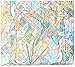Vera Bradley Women's Cotton Small Vera Tote Bag, Rain Forest Canopy - Recycled Cotton, One Size