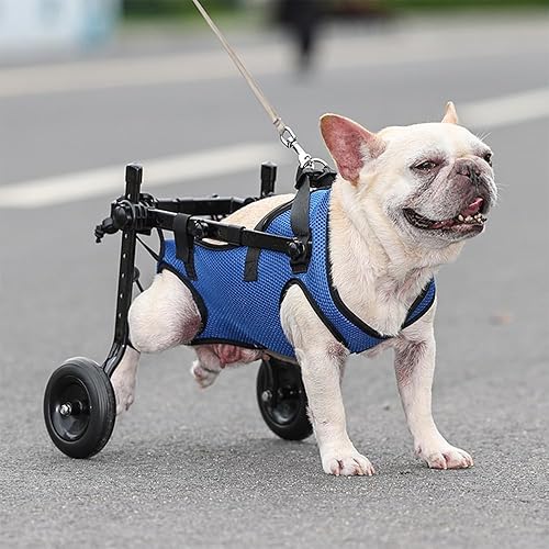 Miniatura 3 de Silla de ruedas para perros pequeños para patas traseras, sillas de ruedas ajustables para perros - Ayudas de movilidad para mascotas