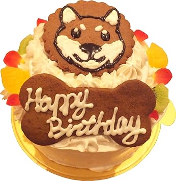 Amazon 7月よりオーダー再開 サラ 犬用 無添加ケーキ 4号サイズ 誕生日 ワンちゃん大喜び 犬飛んでくる 犬も人間も食べられる お祝い マカロン付き 美味しい 甘さ控えめ カラフルマカロンのバースデーケーキ ワンちゃんと飼い主さんが一緒に食べれるケーキ お菓子
