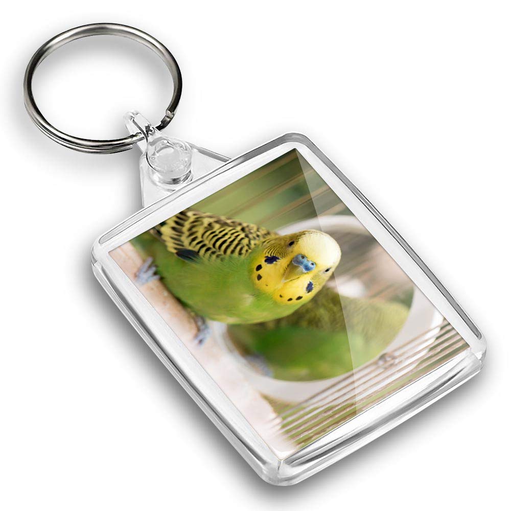 Destination Vinyl Ltd Unisex Multi 1 X Photo Keyring - Green Budgie Budgerigar Parrot |Keychain|Keyring|Charm| #45220